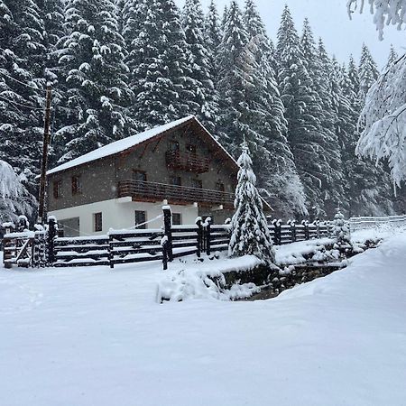 Chiba Villa Timișu de Jos Eksteriør billede