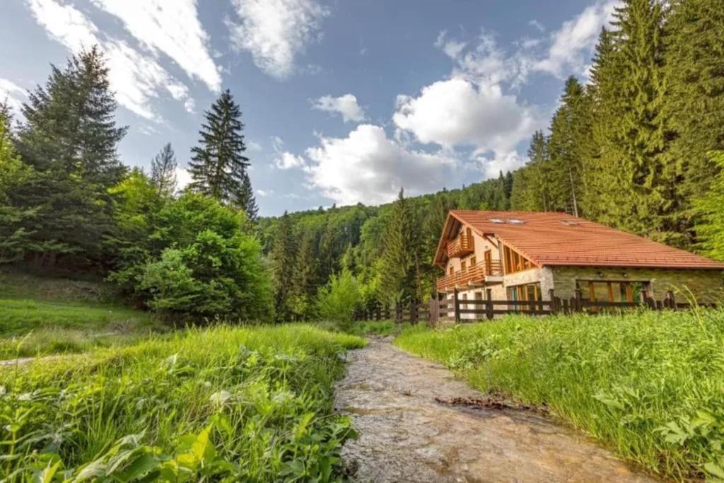 Chiba Villa Timișu de Jos Eksteriør billede