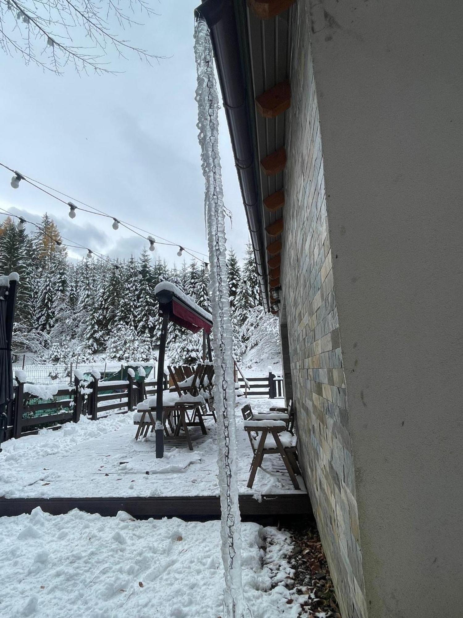 Chiba Villa Timișu de Jos Eksteriør billede
