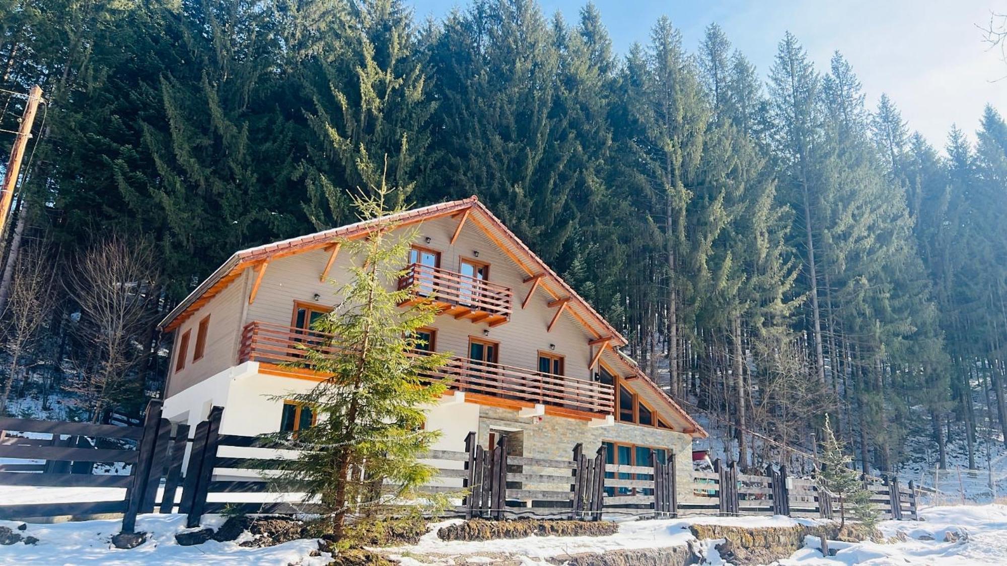 Chiba Villa Timișu de Jos Eksteriør billede