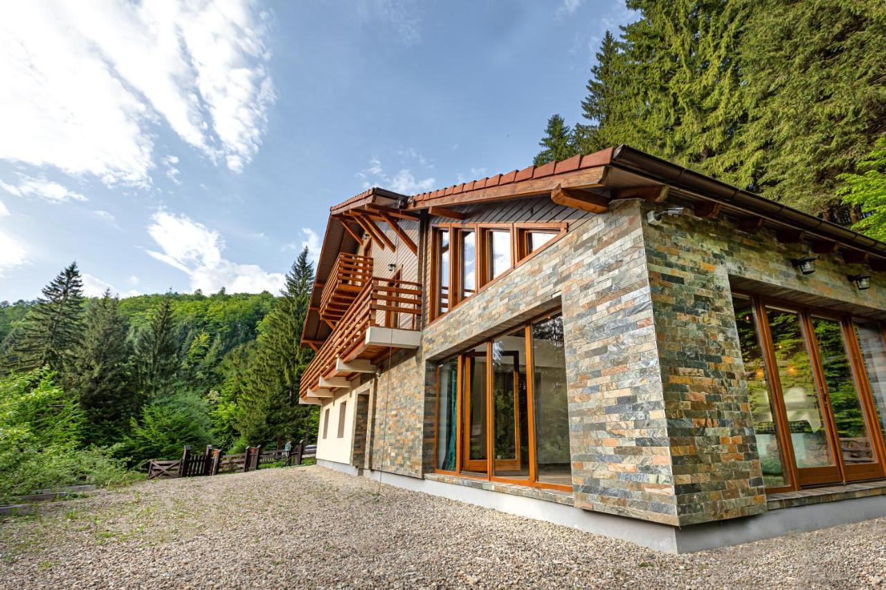 Chiba Villa Timișu de Jos Eksteriør billede