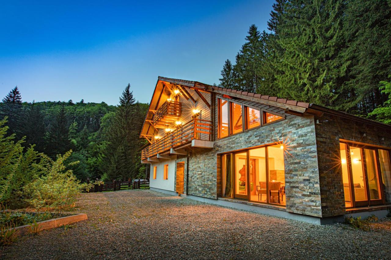Chiba Villa Timișu de Jos Eksteriør billede