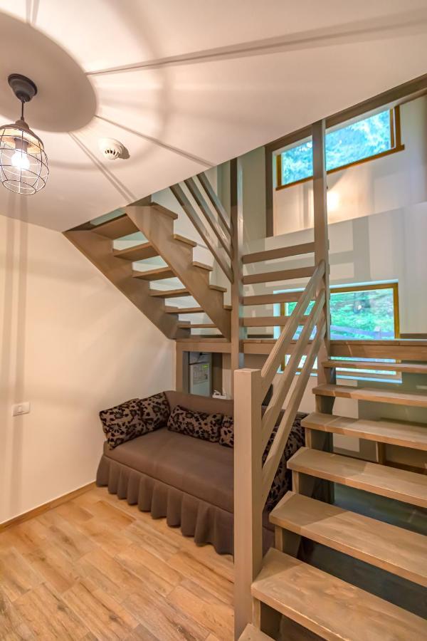 Chiba Villa Timișu de Jos Eksteriør billede