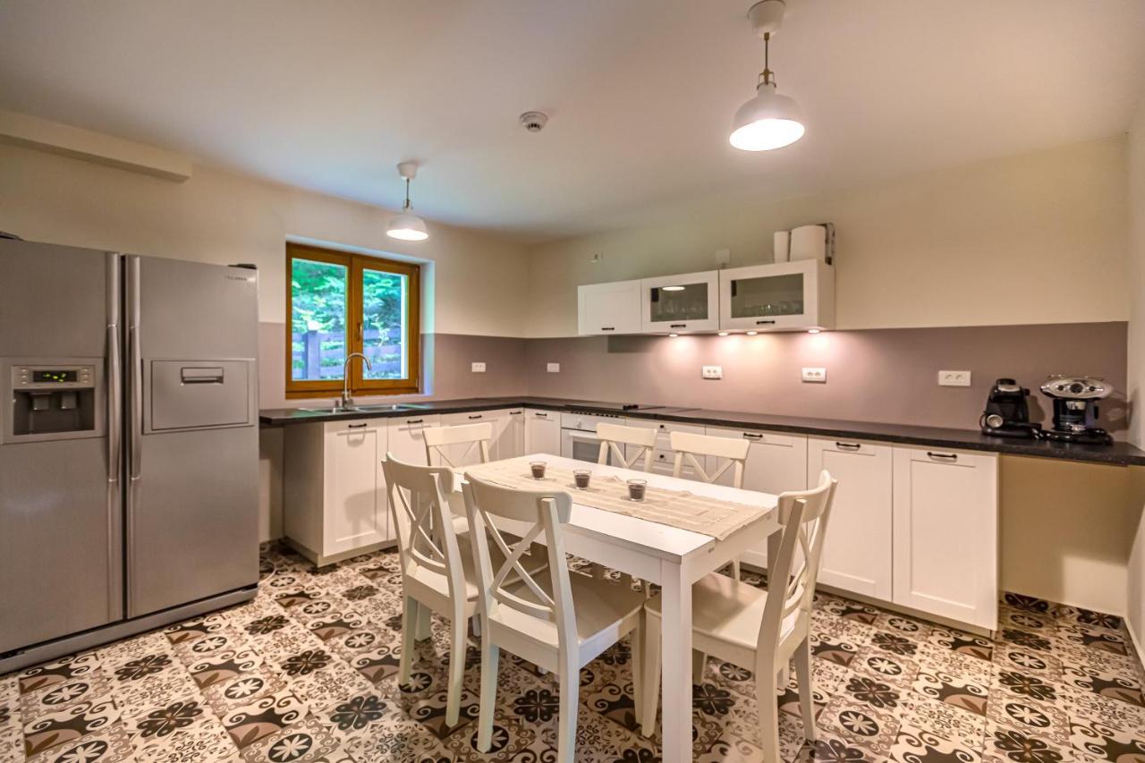 Chiba Villa Timișu de Jos Eksteriør billede